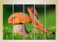 Pictură Rainbow Polyptych Mushroom and leaf 01 (2932804) imaginea #1 — magazin online Desire.md