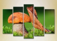 Pictură Rainbow Polyptych Mushroom and leaf 02 (2932805) imaginea #1 — magazin online Desire.md