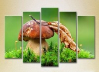 Pictură Rainbow Polyptych Mushroom in green grass 01 (2224600) imaginea #1 — magazin online Desire.md