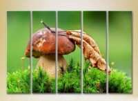 Pictură Rainbow Polyptych Mushroom in green grass 02 (2224569) imaginea #1 — magazin online Desire.md