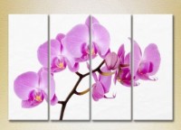 Pictură Rainbow Polyptych Orchids lilac 01 (2932327) imaginea #1 — magazin online Desire.md