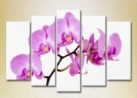 Pictură Rainbow Polyptych Orchids lilac 03 (2932849) imaginea #1 — magazin online Desire.md