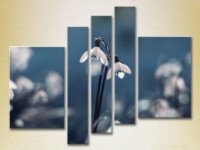 Pictură Rainbow Polyptych Snowdrops 03 (2932853) imaginea #1 — magazin online Desire.md