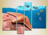 Pictură Rainbow Polyptych Starfish at a depth (2223401) imaginea #1 — magazin online Desire.md