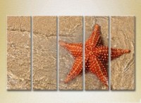 Pictură Rainbow Polyptych Starfish on the Shore 02 (2224771) imaginea #1 — magazin online Desire.md