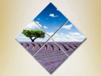 Pictură Rainbow Polyptych Tree in a lavender field (2223666) imaginea #1 — magazin online Desire.md