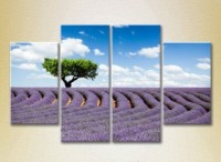 Pictură Rainbow Polyptych Tree in a lavender field 04 (2223685) imaginea #1 — magazin online Desire.md