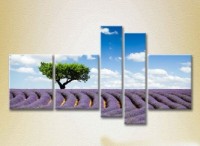 Pictură Rainbow Polyptych Tree in a lavender field 06 (2224810) imaginea #1 — magazin online Desire.md