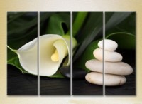 Pictură Rainbow Polyptych White Calla Lilies 01 (2932286) imaginea #1 — magazin online Desire.md