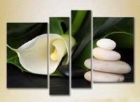 Pictură Rainbow Polyptych White Calla Lilies 03 (2932277) imaginea #1 — magazin online Desire.md