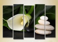 Pictură Rainbow Polyptych White Calla lilies 06 (2932794) imaginea #1 — magazin online Desire.md