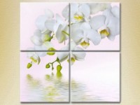 Pictură Rainbow Polyptych White Orchid (2932374) imaginea #1 — magazin online Desire.md