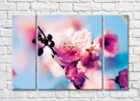 Pictură Rainbow Sakura flowers on blurred Blue background (500829)