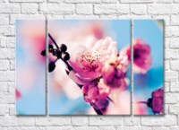 Pictură Rainbow Sakura flowers on blurred Blue background (500829) imaginea #1 — magazin online Desire.md