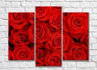 Pictură Rainbow Triptych of red roses (500698)