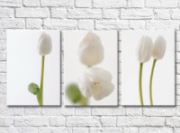 Pictură Gallerix Triptych of white tulips (500686)