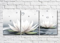 Картина Magic Color White water lilies and water droplets in the form of hearts (3565215)
