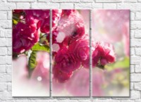 Pictură Rainbow Peach pink flowers on a branch (500505)