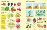 Книга Fruit and vegetables (9781474922197)