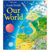 Cartea Look inside our world (9781409563945)