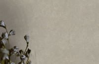 Tapete EuroDecor 7099-12 Simona imaginea #2 — magazin online Desire.md