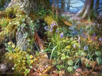 Puzzle Castorland 2000 From Rusland Woods (C-200764)