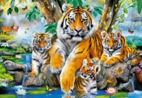 Пазл Castorland 1000 Tigers By The Stream (C-104413)