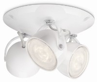 Спот Philips Dyna White 53233/31/16