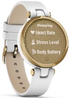 Smartwatch Garmin Lily (010-02384-B3)
