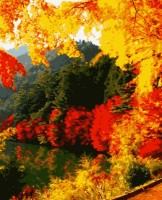 Tablou pe numere Artissimo Bright Autumn 40x50cm (PN0166)