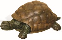 Садовая фигура ArtFigure Broasca testoasa (5.262)