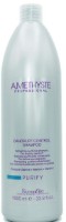 Șampon pentru păr Farmavita Amethyste Purify Dandruff Control 1000ml