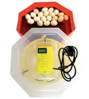 Incubator ERT-MN 9051/INC4