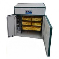 Incubator Tehno MS Ms-528