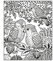 Cartea Zoo Magic Painting Book (9781474948524)