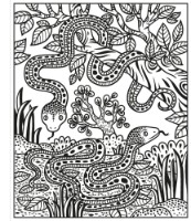 Cartea Zoo Magic Painting Book (9781474948524)
