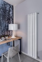 Радиатор Radiatori2000 Kaldus 1600 (4pcs) фото №2 — интернет-магазин Desire.md