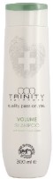 Șampon pentru păr Trinity Volume 30714 300ml