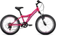 Детский велосипед Forward Dakota 20 2.0 (2021) Pink/White