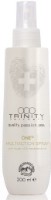 Spray cu ulei de argan pentru regenerarea părului Trinity Argan Oil 30767 200ml