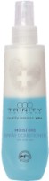 Spray pentru păr Trinity Moisture 30709 75ml