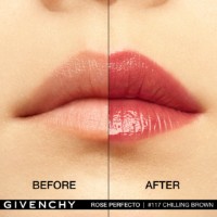 Помада для губ Givenchy Rose Perfecto 2,6g N117 Chilling Brown