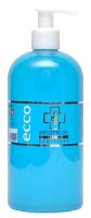 Antiseptic ECCOLUX Home Antiseptic Gel 500ml (dispenser)